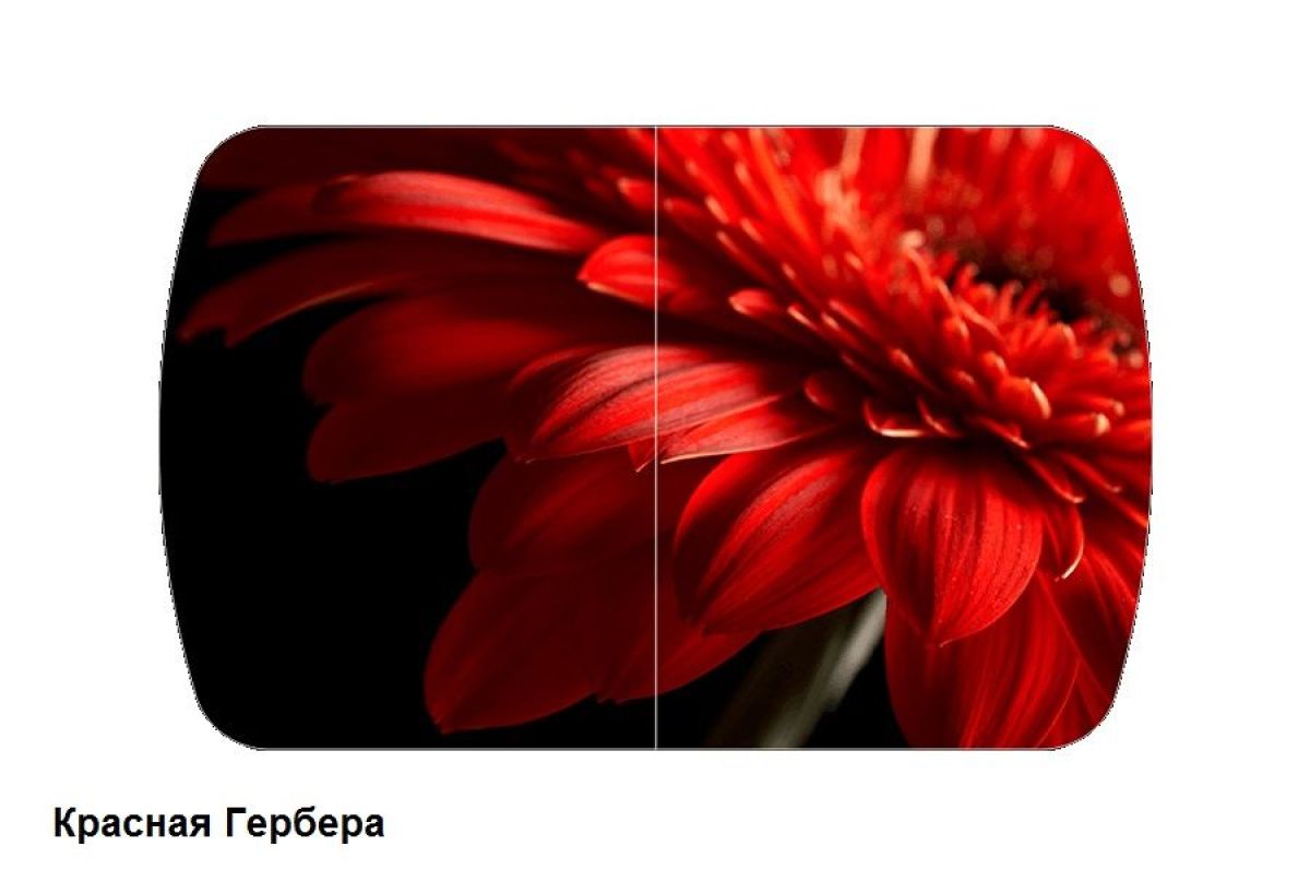 Стол Бостон-2 (1100*700) опоры Брифинг | фото 8