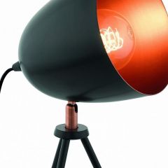 Настольная лампа декоративная Eglo ПРОМО Chester 49385 | фото 3