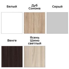 Шкаф-купе ХИТ-У-22-4-88 | фото 4